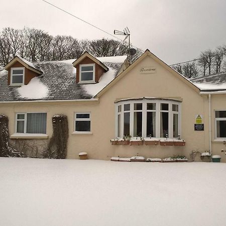 Rosedene Guest House Pembroke Exterior foto