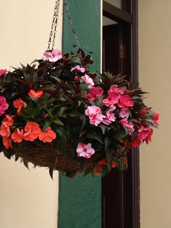 Rosedene Guest House Pembroke Exterior foto